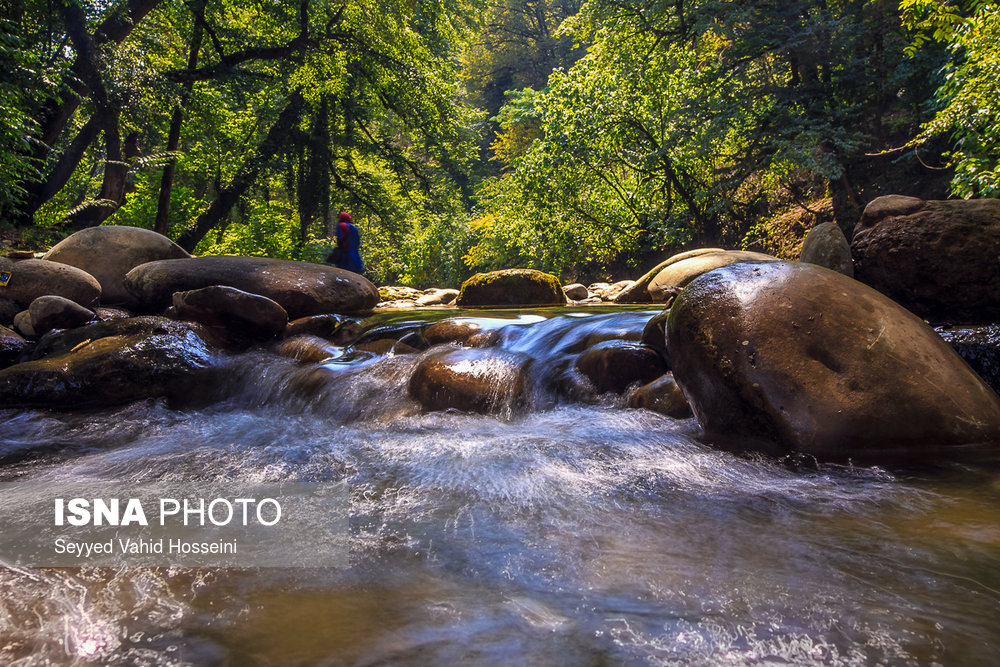 ایران زیباست؛‌ «پلنگ دره»