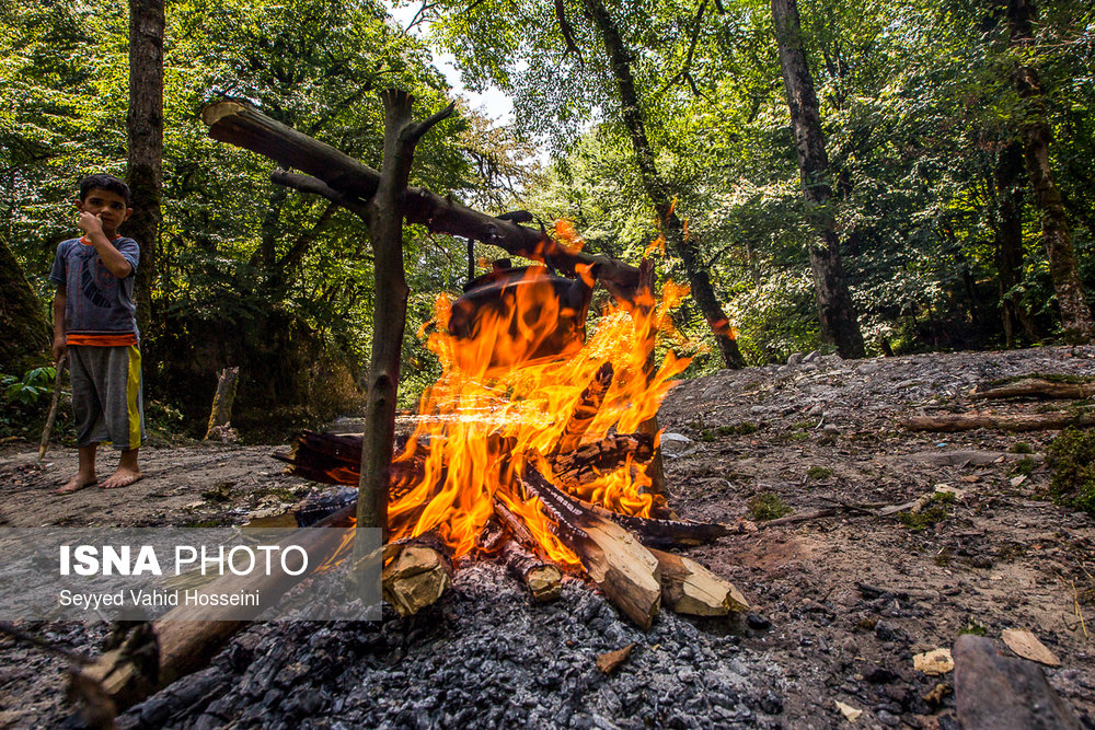 ایران زیباست؛‌ «پلنگ دره»