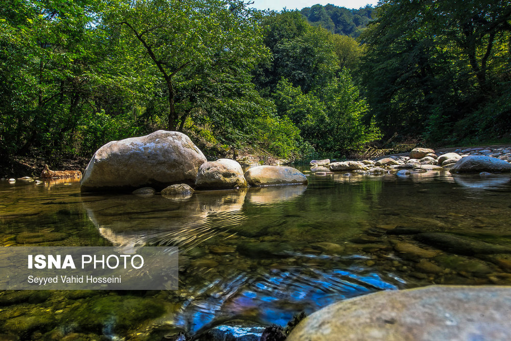ایران زیباست؛‌ «پلنگ دره»
