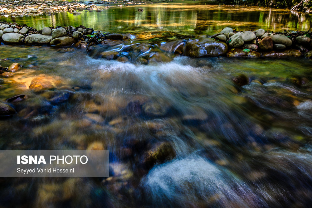 ایران زیباست؛‌ «پلنگ دره»