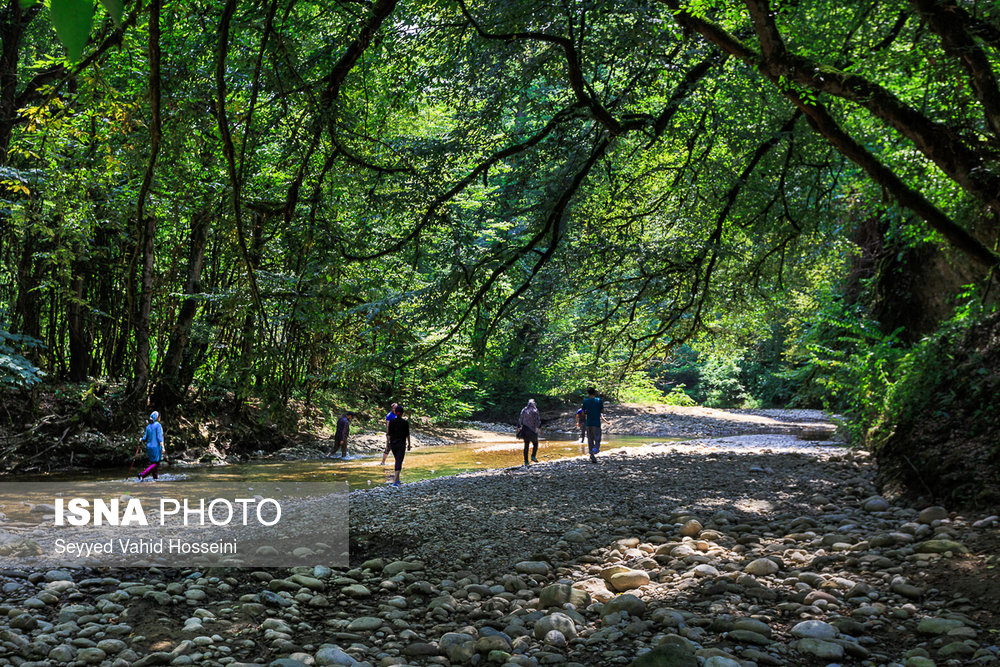 ایران زیباست؛‌ «پلنگ دره»