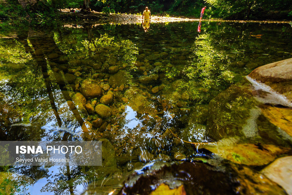 ایران زیباست؛‌ «پلنگ دره»