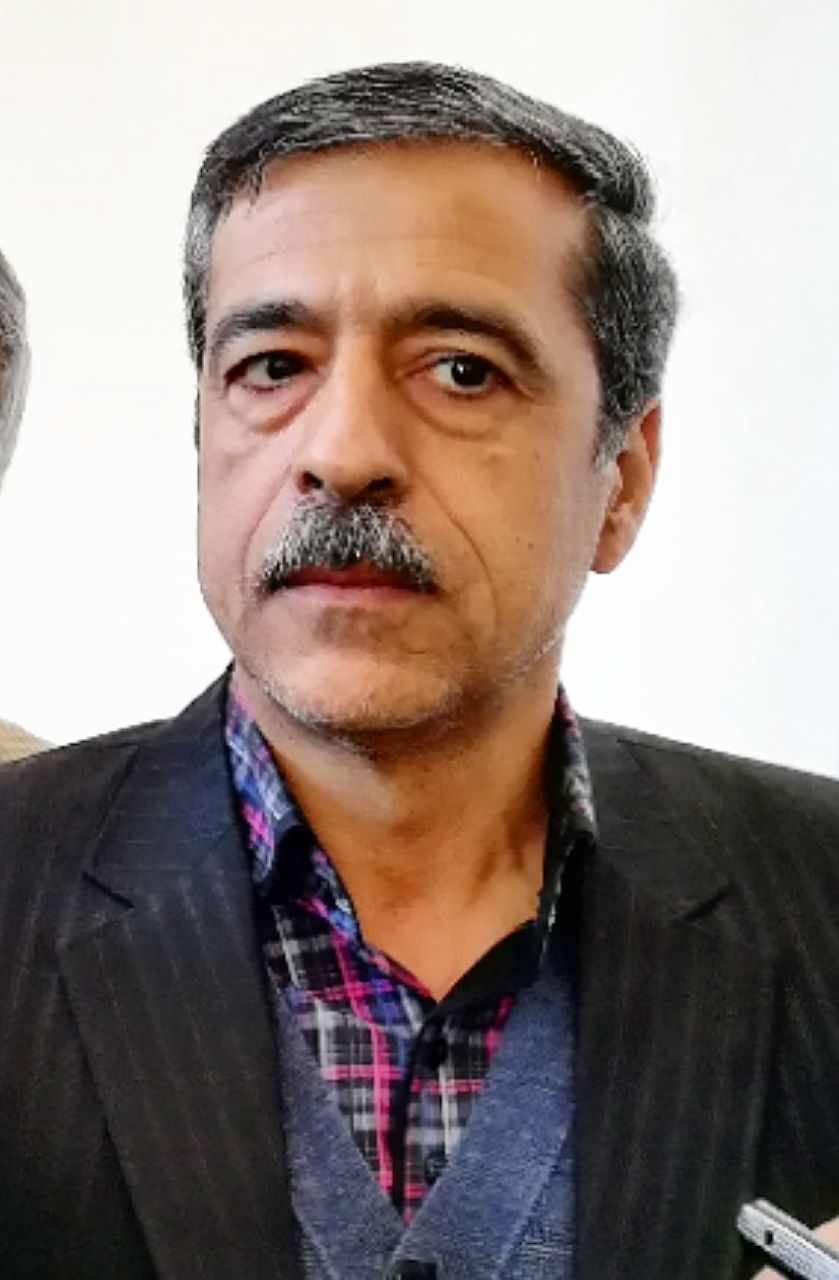 آیا دولت پشت نوسان ارزی است؟