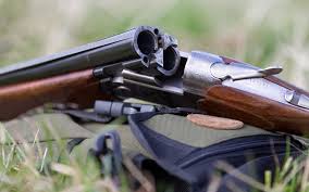 محیط بان منطقه حفاظت شده بهشت گمشده با شلیک گلوله مجروح شد