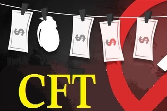 بررسی CFT در غیاب فراکسیون ولایی در صحن مجلس بررسی CFT در غیاب فراکسیون ولایی در صحن مجلس