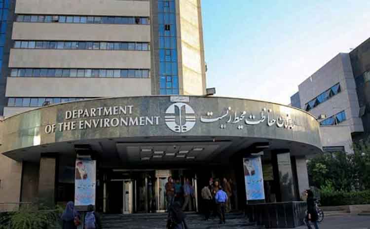 اگر گورخرها را رها می‌کردند که خودشان بروند تلفات کمتری داشت!/ نگاه سازمان محیط زیست به آموزش، حقیرانه است