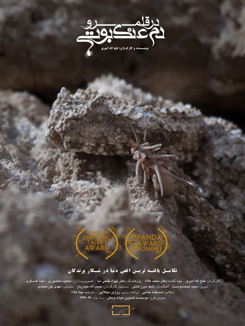 جایزه جشنواره‌ی انگلستانی برای مستندساز ایرانی