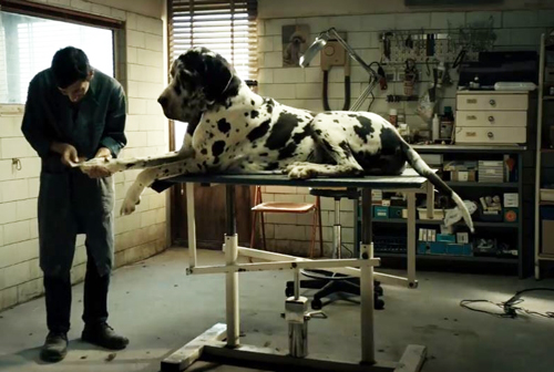 رکورددار اسکار خارجی وارد میدان شد