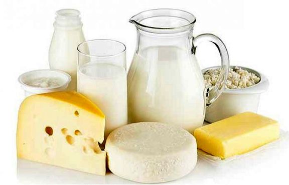 انتقاد از برخورد با شرکت&zwnj;های لبنیات/ قیمت لبنیات واقعی است