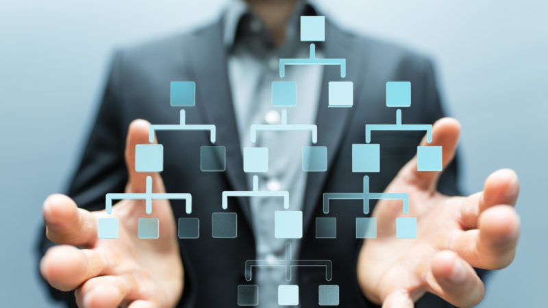 اعضای شبکه هرمی نوظهور 