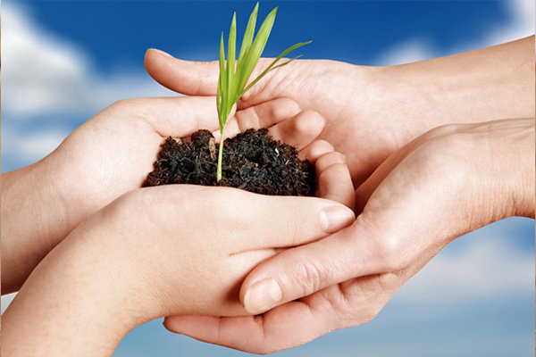 بیمه گران درباره نرخ های پیشنهادی بیمه به تفاهم رسیدند