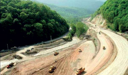 جنگل&zwnj;های شمال به نصف رسید!