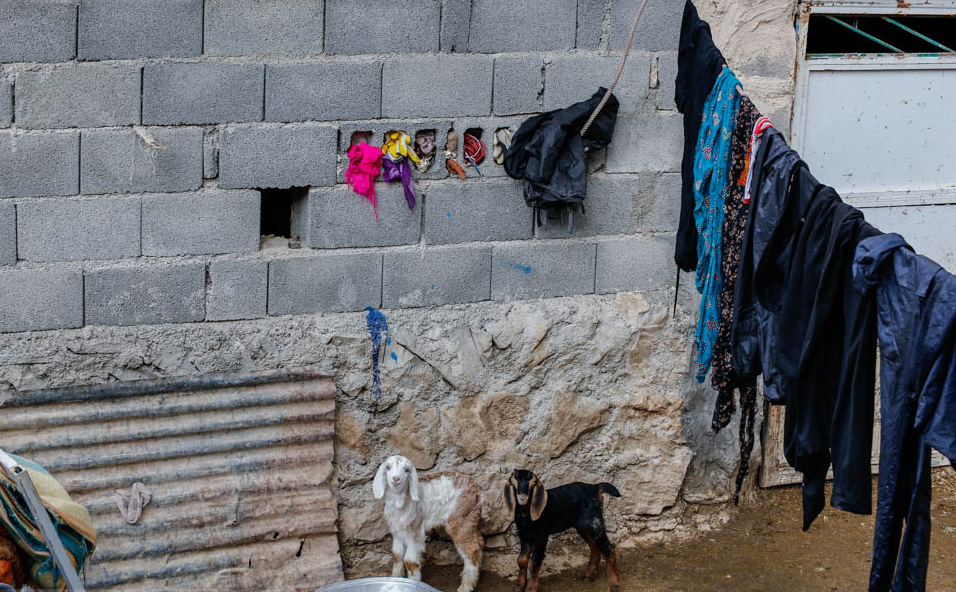 کرمانشاه یک سال پس از زلزله/ هیچ خانواده‌ای در چادر زندگی نمی‌کند/ مشکلات بهداشتی همچنان گریبانگیر مردم زلزله‌زده