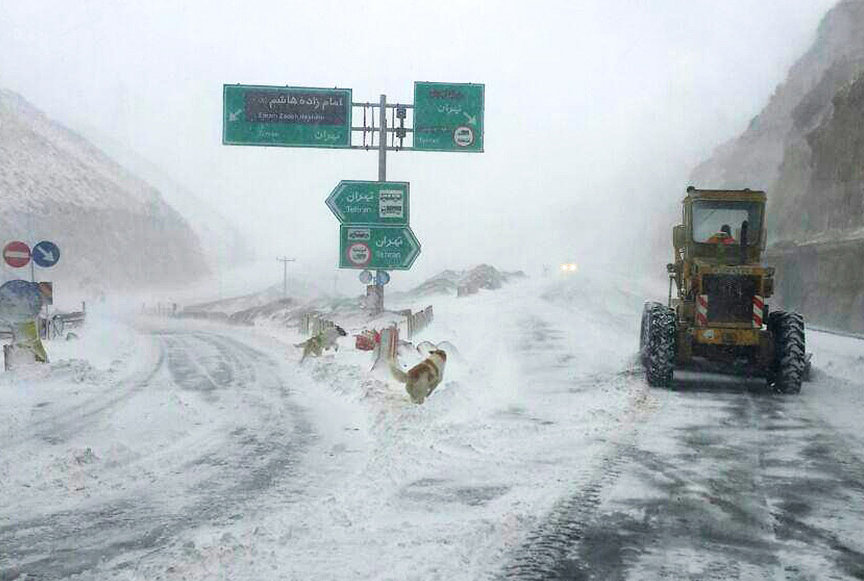 بارش برف در چالوس و هراز