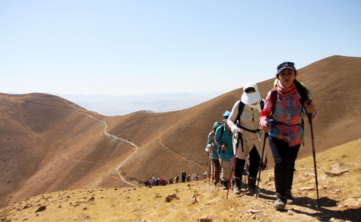 11111111111111111111