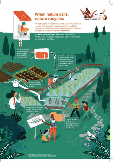 جاذبه‌ای به نام توالت! / عکس‌هایی از توالت‌های برتر جهان