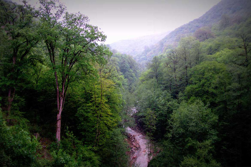 مقاصد جدید گردشگری با ثبت جنگل های هیرکانی شکل می گیرد