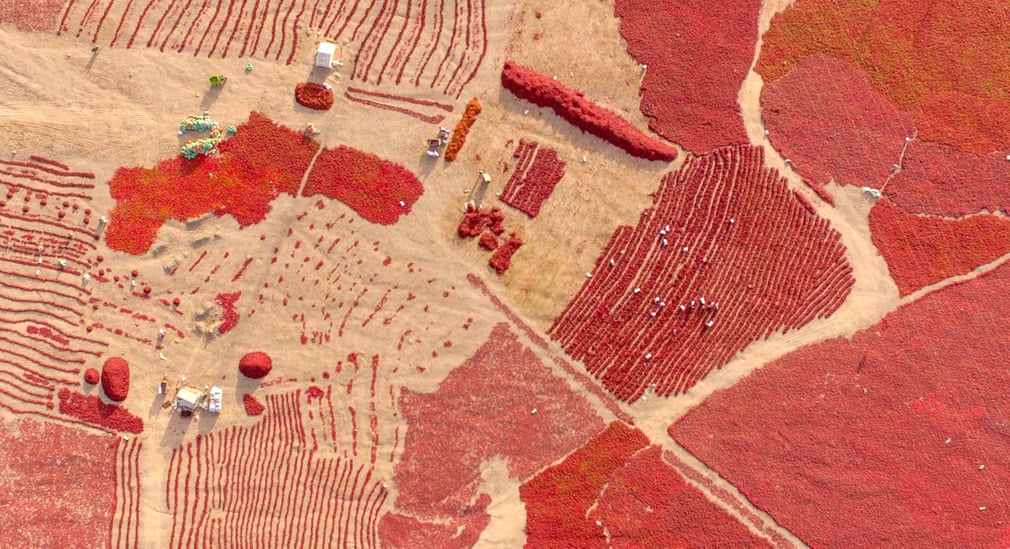 عکسهای روز از گاردین