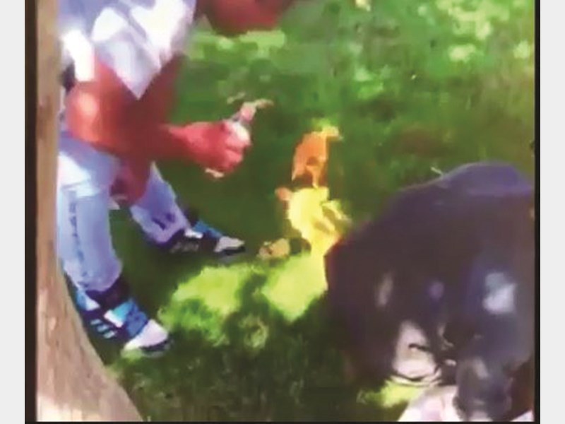 فردی که کارتن‌خواب‌ها را آتش می‌زد، دستگیر شد