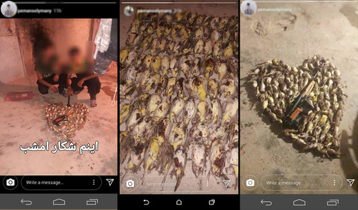 انتشار تصاویر شکار غیرمجاز کار دست شکارچی داد