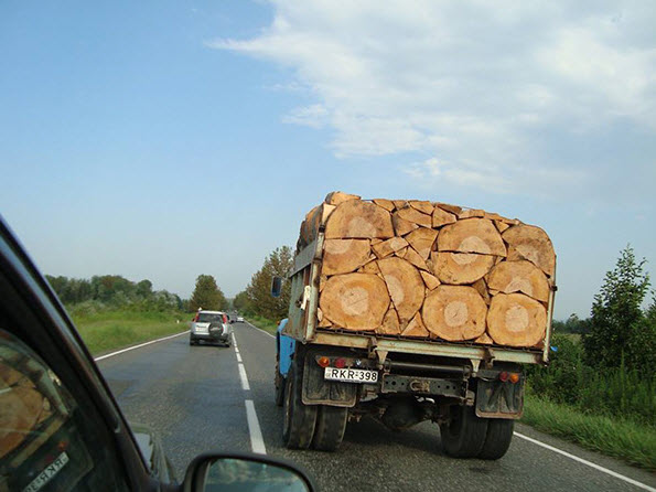 عکسهایی که کمالگرایی افراد را نشان میدهد عکسهایی که کمالگرایی افراد را نشان میدهد