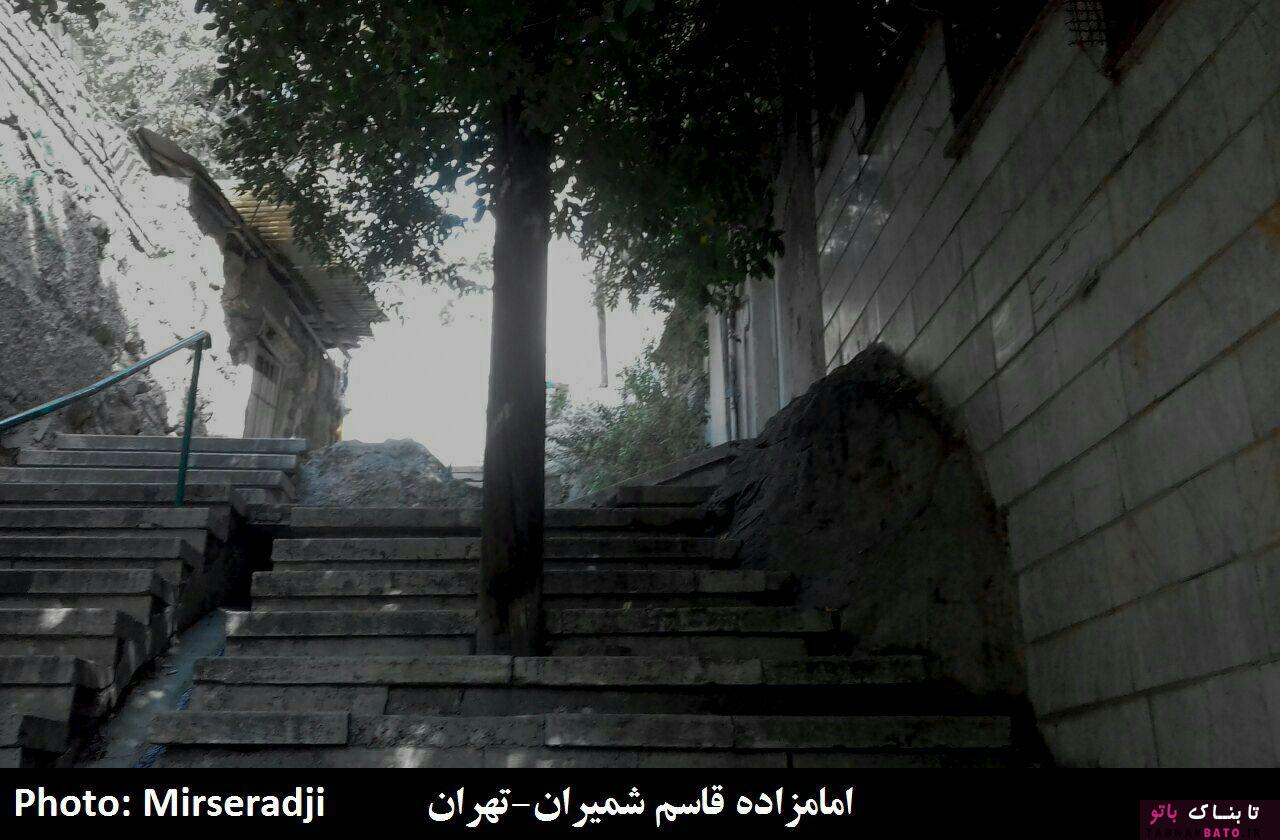 حضور عجیب درختان در معماری شهر و روستاهای ایران +تصاویر