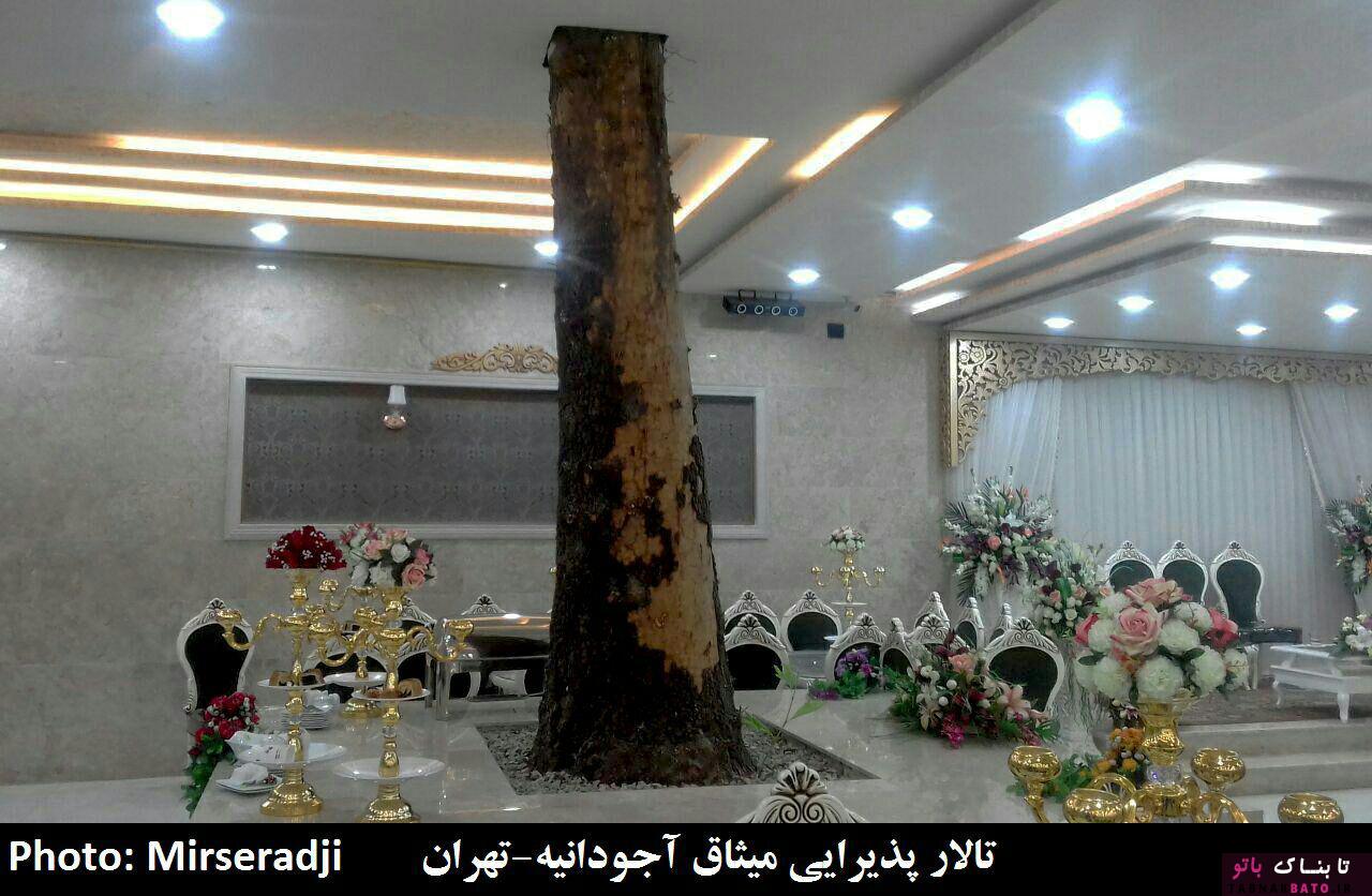 حضور عجیب درختان در معماری شهر و روستاهای ایران +تصاویر حضور عجیب درختان در معماری شهر و روستاهای ایران +تصاویر