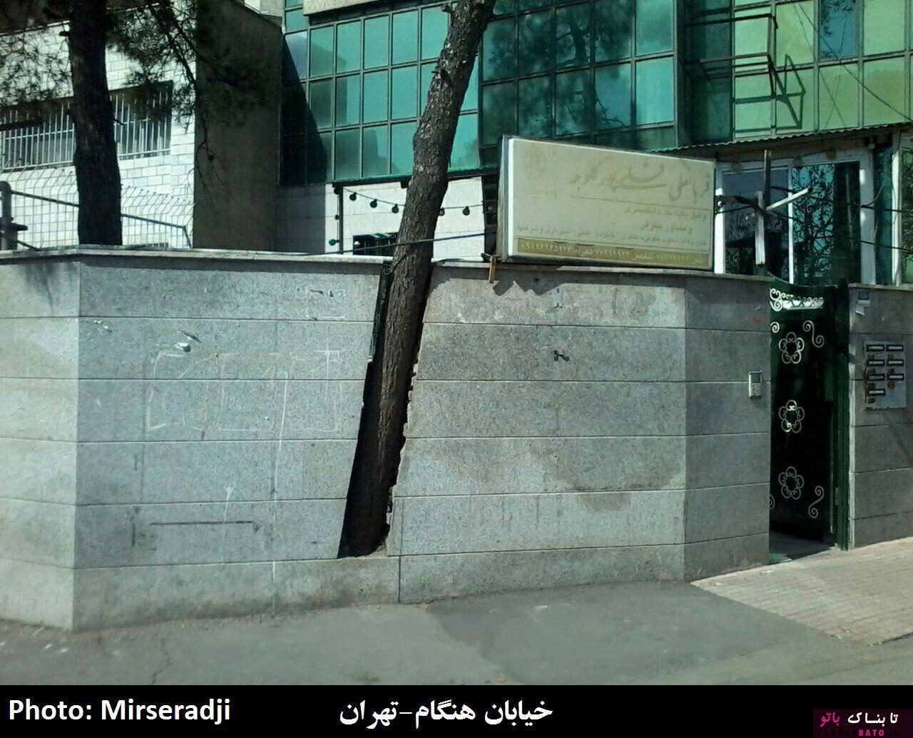 حضور عجیب درختان در معماری شهر و روستاهای ایران +تصاویر حضور عجیب درختان در معماری شهر و روستاهای ایران +تصاویر