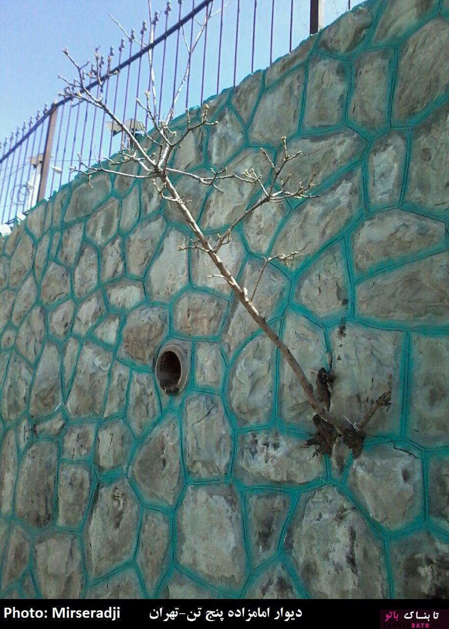 حضور عجیب درختان در معماری شهر و روستاهای ایران +تصاویر حضور عجیب درختان در معماری شهر و روستاهای ایران +تصاویر
