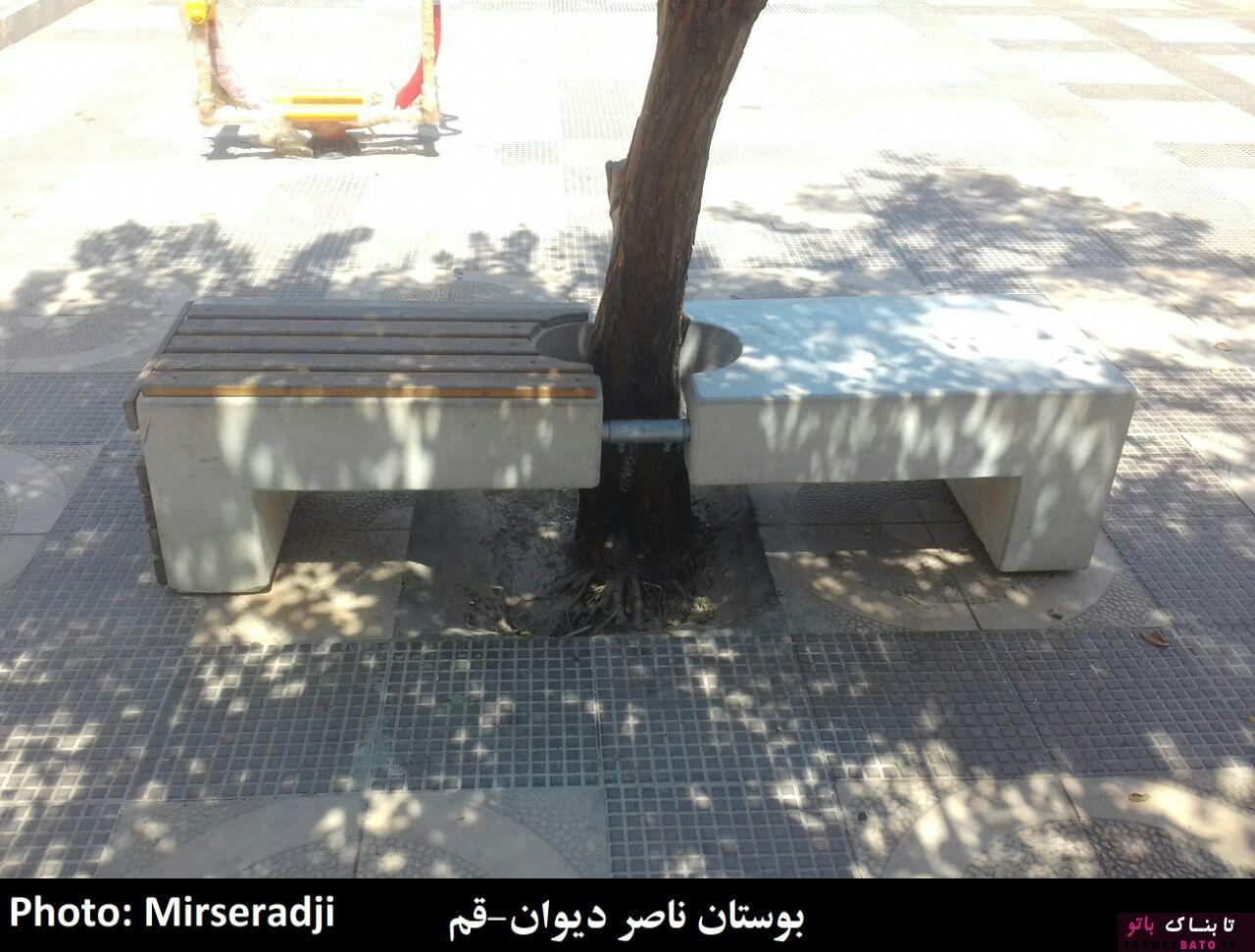 حضور عجیب درختان در معماری شهر و روستاهای ایران +تصاویر حضور عجیب درختان در معماری شهر و روستاهای ایران +تصاویر