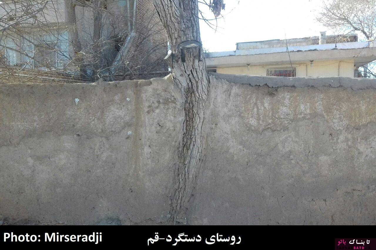 حضور عجیب درختان در معماری شهر و روستاهای ایران +تصاویر حضور عجیب درختان در معماری شهر و روستاهای ایران +تصاویر