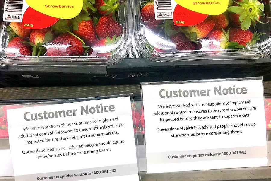 توت فرنگی‌های آلوده بازهم در نیوزیلند دردسر آفرید