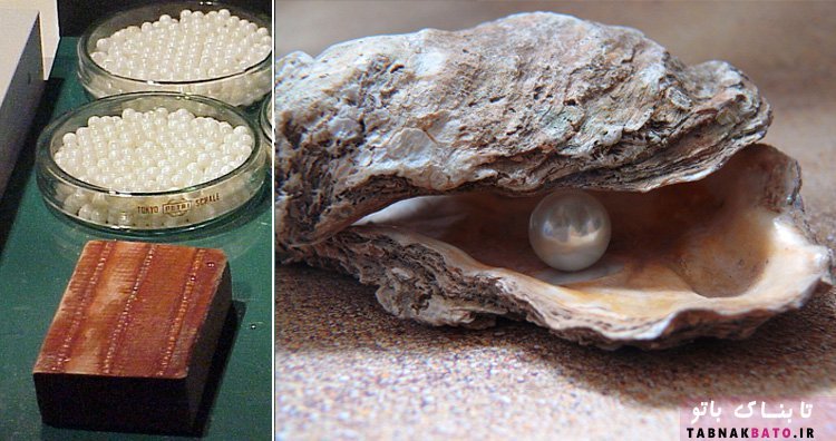 چیز‌هایی که فکر می‌کنید طبیعی اند؛ اما ساخته دست بشرند!