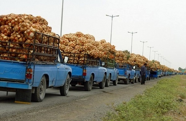 کشف ۱۵ تن پیاز احتکار شده و توزیع آن در شیراز