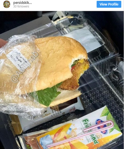 وعده غذایی فلافل در هواپیمای ایرانی! +عکس