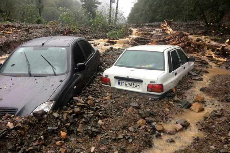 صدور حکم جلب پیمانکار تهران- شمال برای چه بود؟ صدور حکم جلب پیمانکار تهران- شمال برای چه بود؟