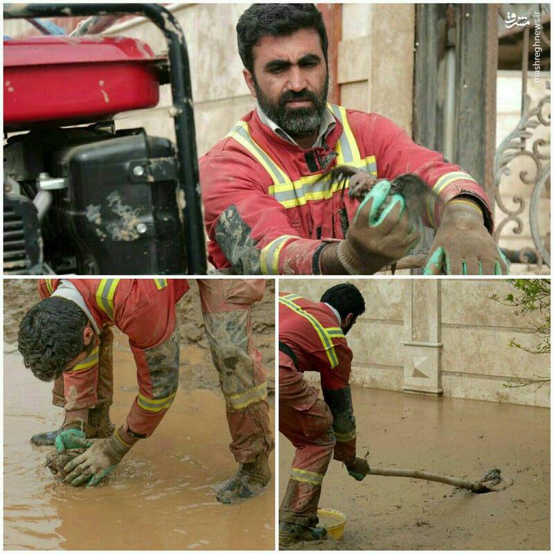 نجات یک پرنده از گل و لای سیل+عکس