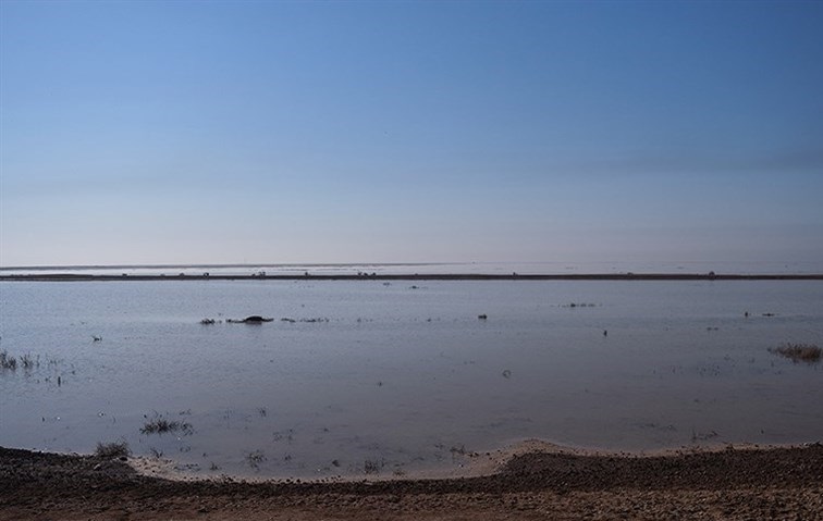 تکذیب مخالفت صنعت نفت با هدایت جریان آب به‌سوی هورالعظیم