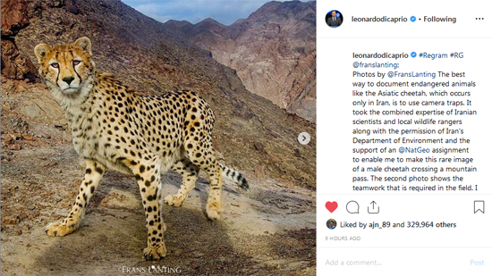 پست جدید دی کاپریو درباره حمایت از فعالان محیط زیست ایران +عکس