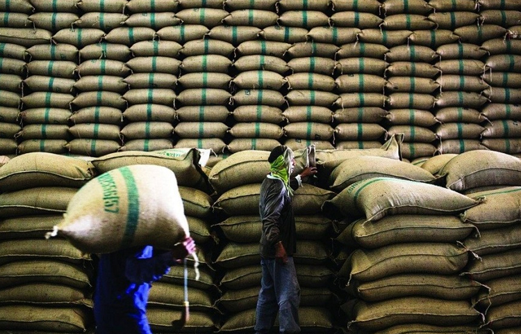افزایش قیمت برنج به بهانه سیل/ دبیر انجمن حمایت: سوداگران به دنبال افزایش واردات برنج هستند