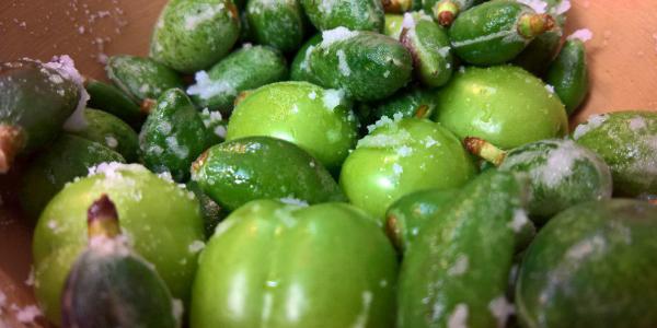 قیمت نوبرانه‌ها در میادین میوه و تره‌بار چند است؟