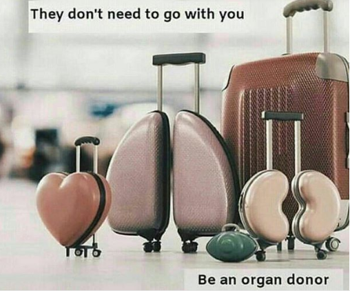 فرهنگ سازی کامبیز دیرباز درباره اهدای عضو فرهنگ سازی کامبیز دیرباز درباره اهدای عضو