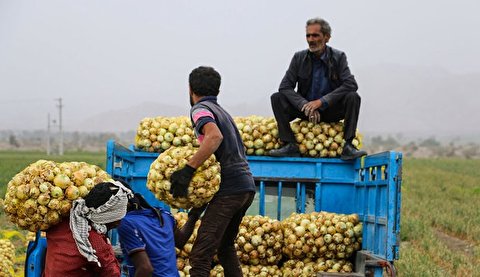 پیاز اشک مردم را درآورد/ بازار شب عید چه وضعی خواهد داشت؟