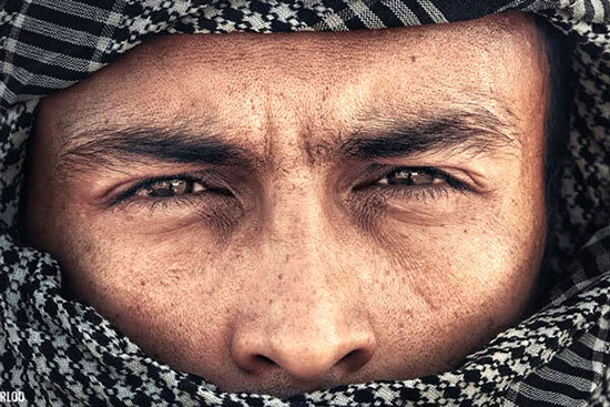 فیلم‌های جشنواره فجر 