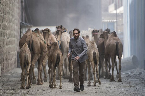 فیلم‌های جشنواره فجر 