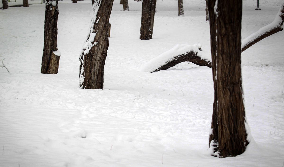 بارش بی‌سابقه برف در مشهد +عکس