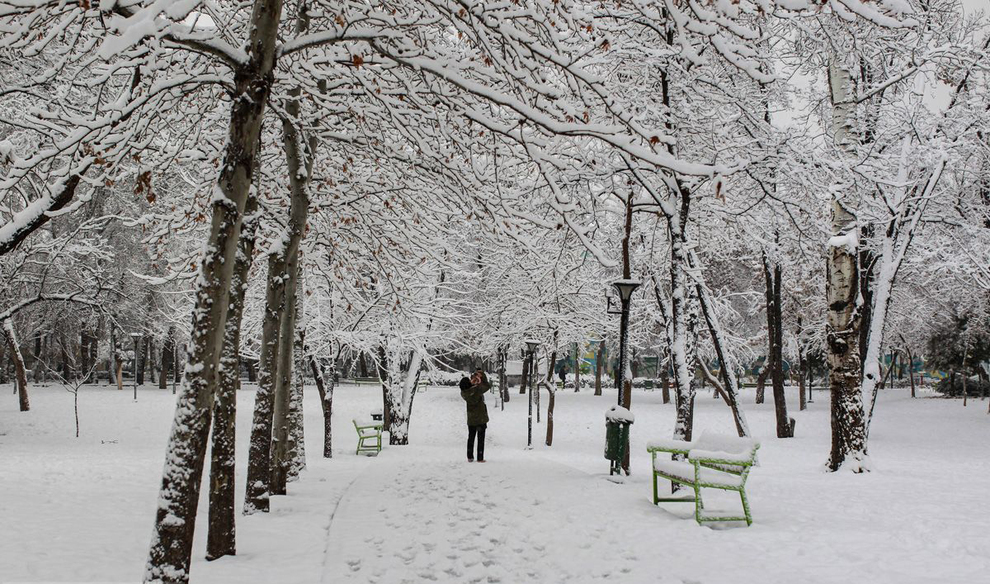 بارش بی‌سابقه برف در مشهد +عکس