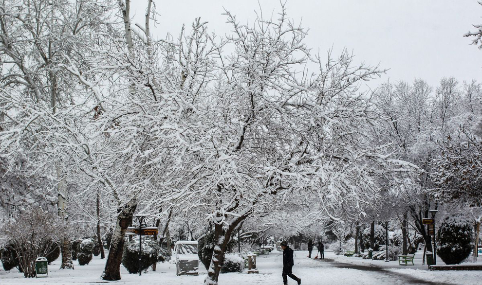 بارش بی‌سابقه برف در مشهد +عکس