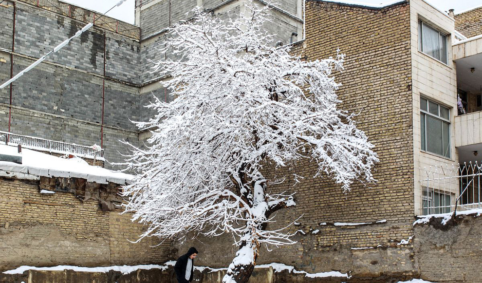 بارش برف در مشهد