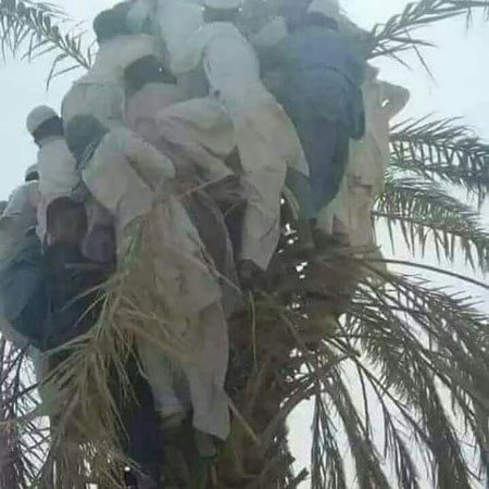 سیل سیستان و بلوچستان سیل سیستان و بلوچستان